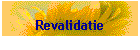 Revalidatie